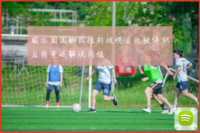 前法国国脚因性别歧视言论被停职后将重返解说岗位