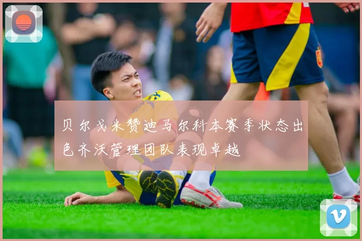 贝尔戈米赞迪马尔科本赛季状态出色齐沃管理团队表现卓越